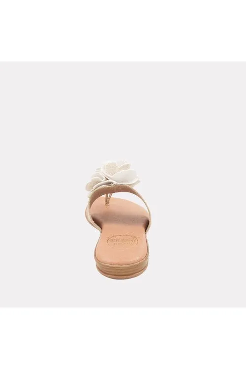 André Assous Nara Featherweights ™ Elastic Flip Flop AA4NRA53 | Beige/Platino